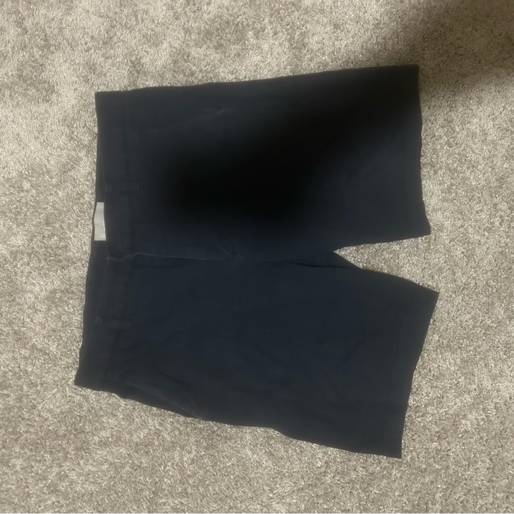Everlane Navy Blue Chino Shorts